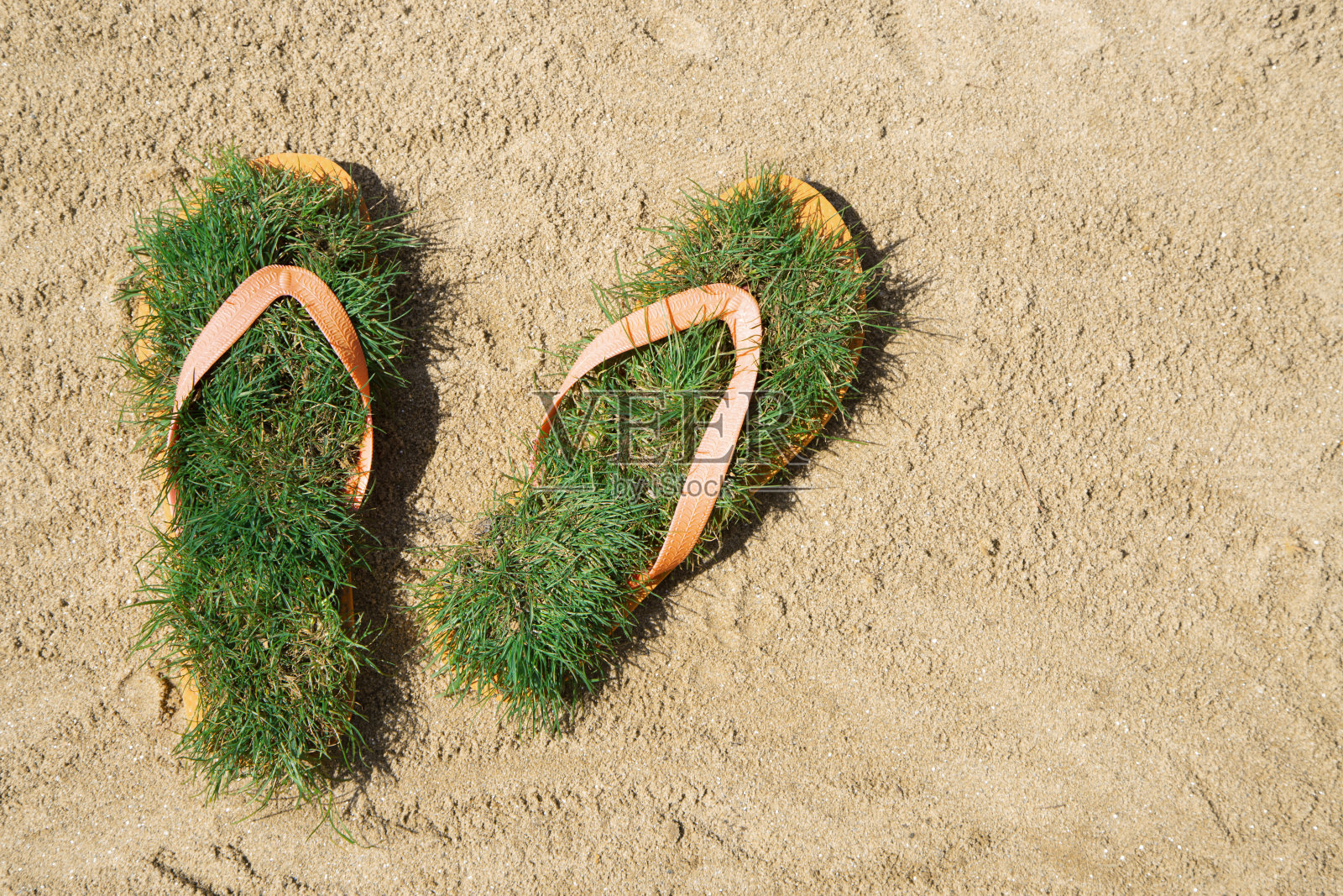 沙滩上的绿草拖鞋照片摄影图片