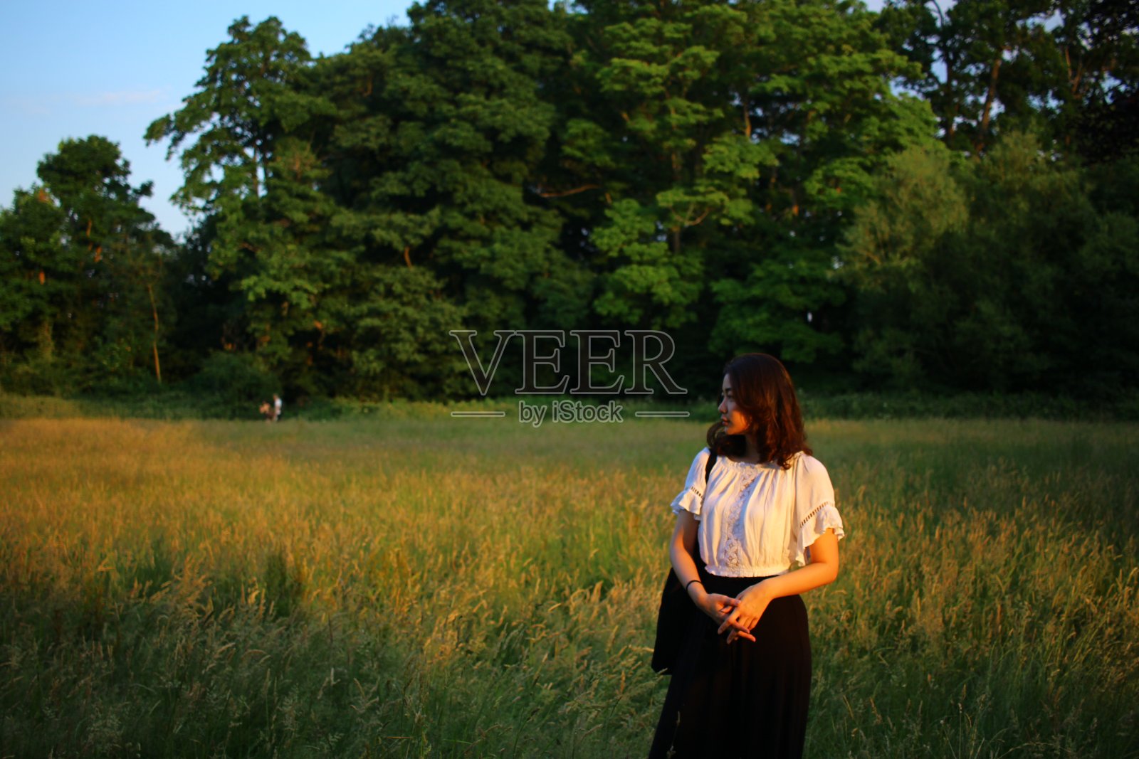 沐浴在夏日的阳光下。照片摄影图片