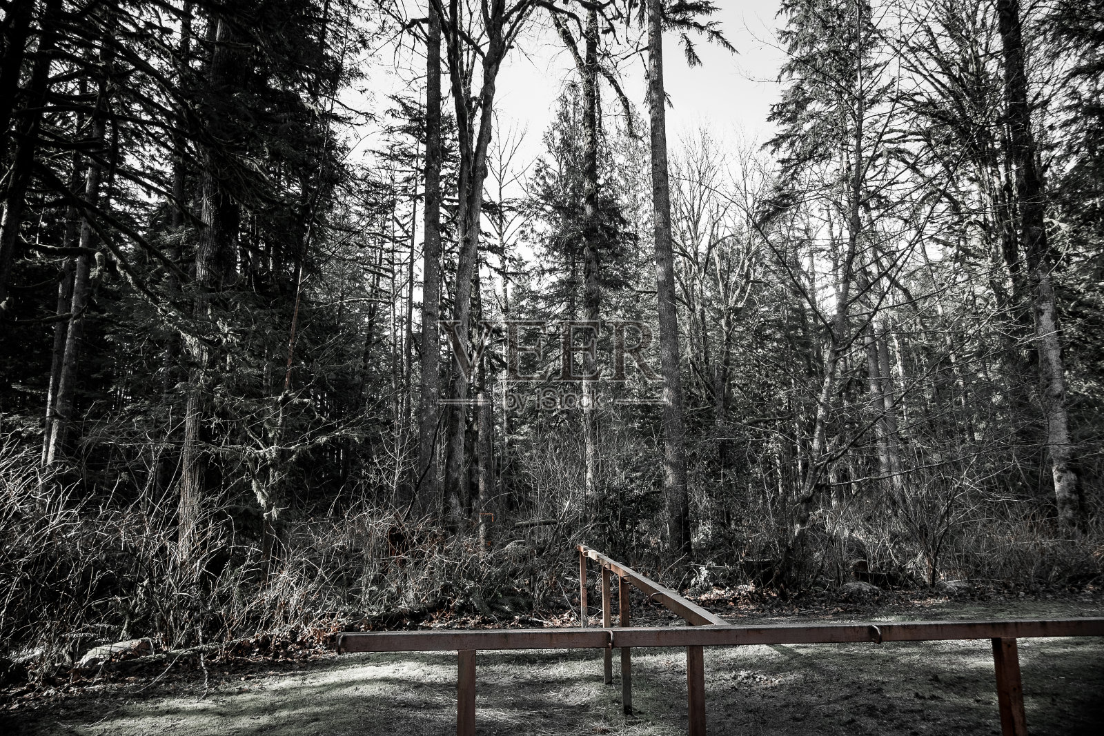 废弃的结构照片摄影图片