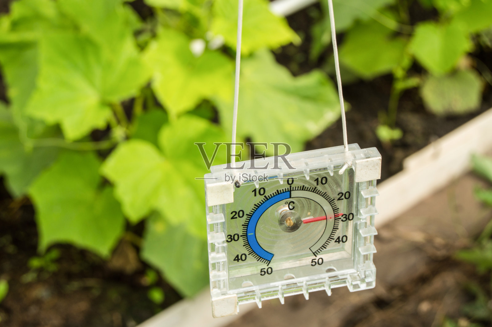 温室内测量空气温度的温度计照片摄影图片