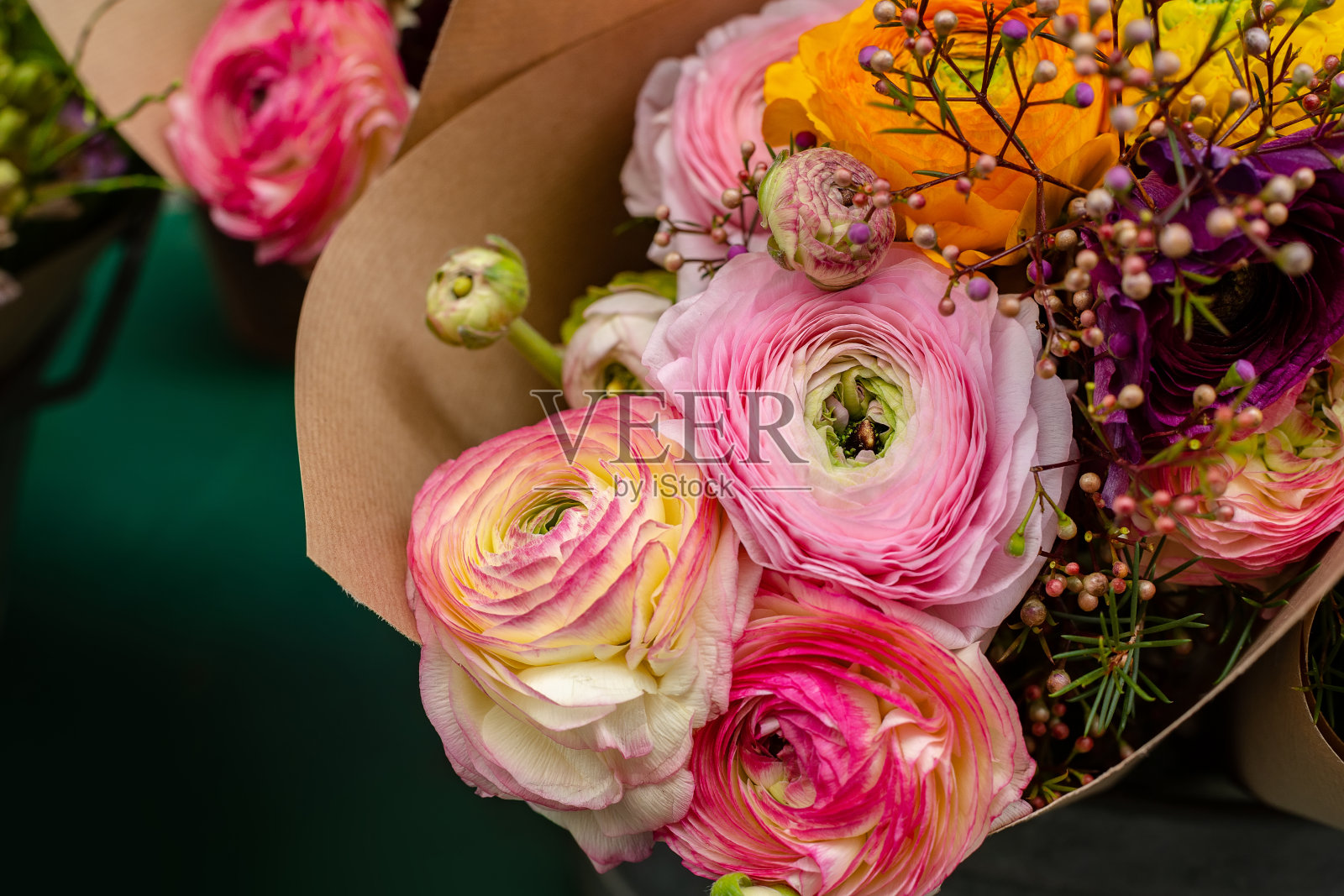 鲜嫩美丽的金凤花花束照片摄影图片