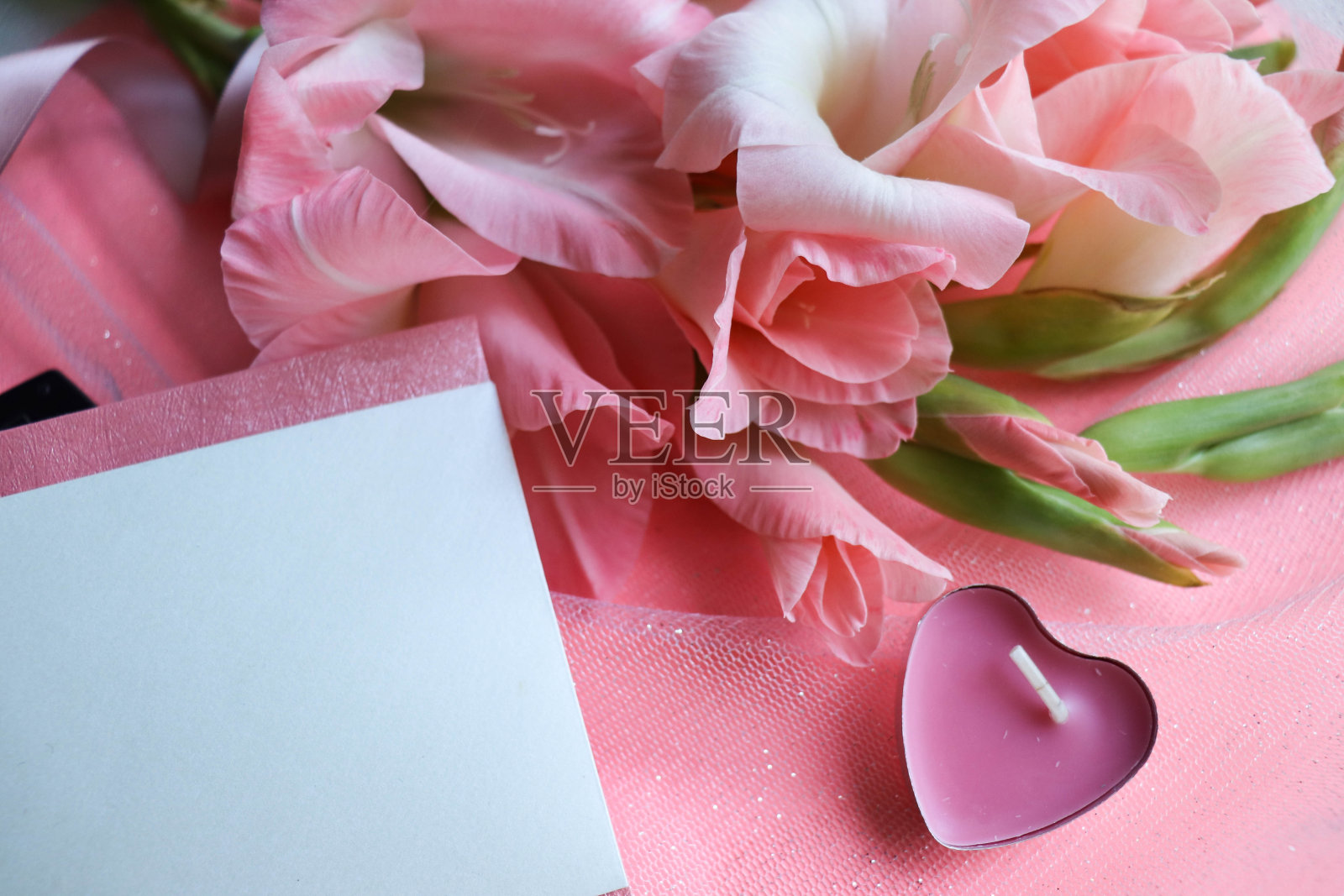 一束粉红色剑兰和文字空间照片摄影图片