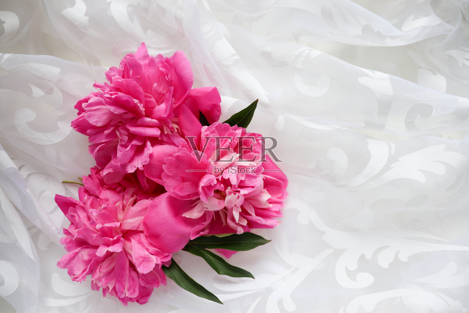 一束粉红色的牡丹照片摄影图片