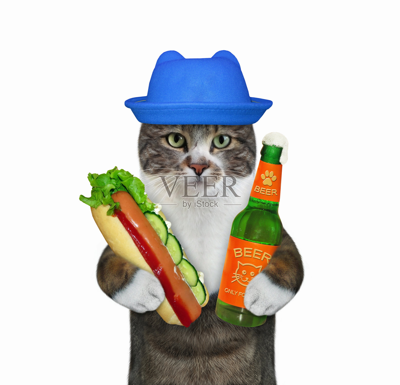 带着啤酒和热狗的猫照片摄影图片
