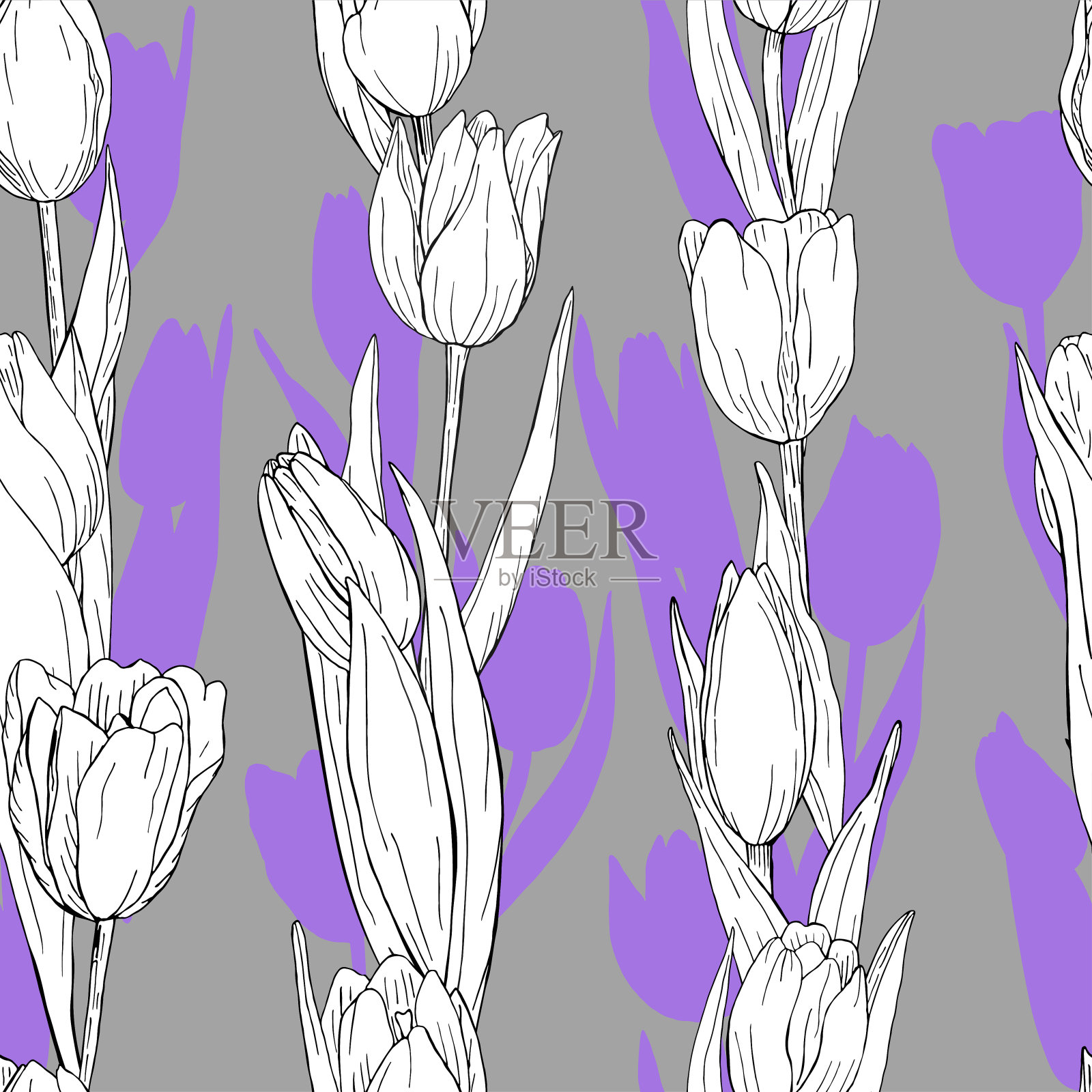郁金香花的轮廓和轮廓。植物无缝模式垂直春季花束在灰色背景。孤立的植物是手工绘制的。插画图片素材
