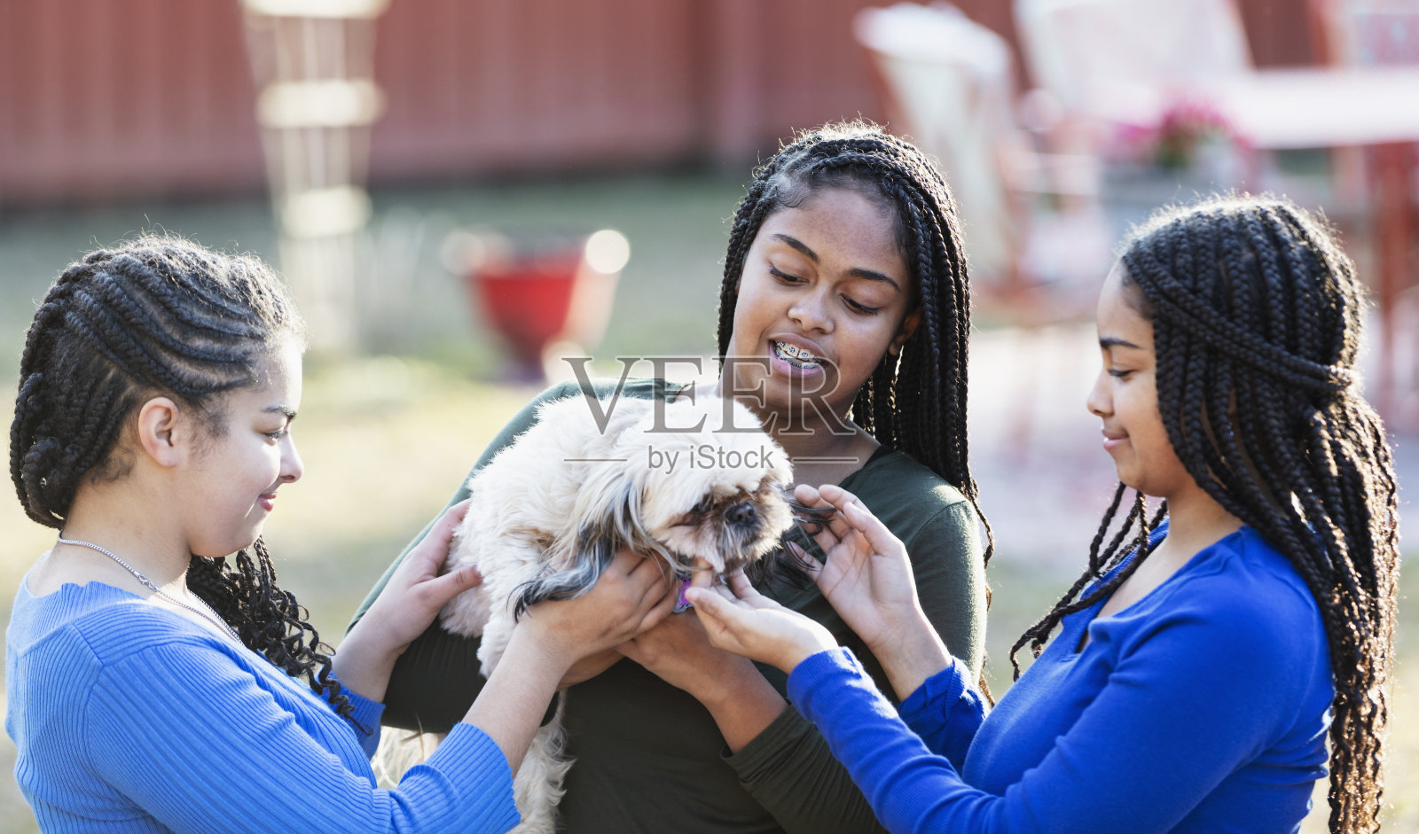 三姐妹在后院玩狗照片摄影图片