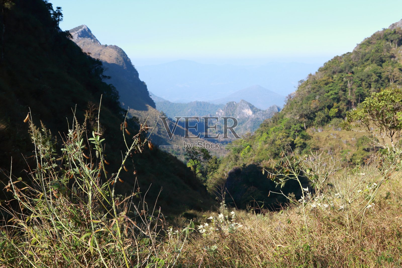 Doi Luang Chiang Dao国家公园景观，清迈，泰国照片摄影图片