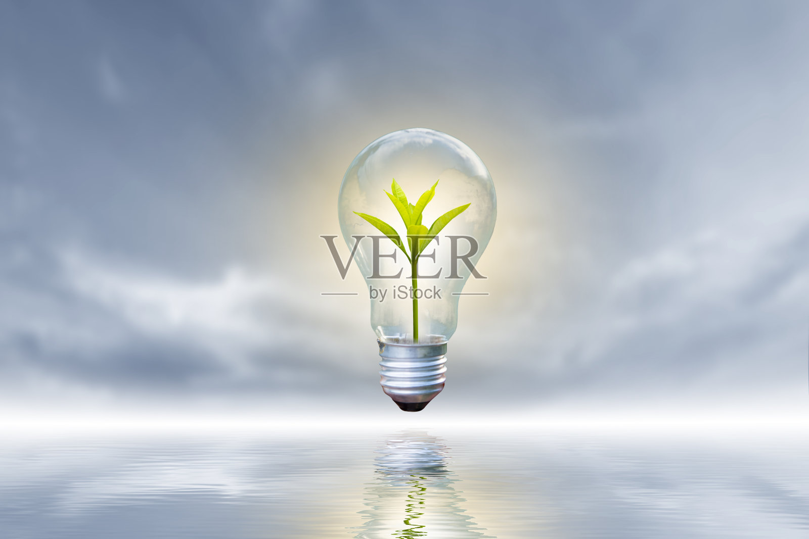 可再生能源概念地球日或环境保护手保护生长在地上的森林，帮助拯救世界。照片摄影图片