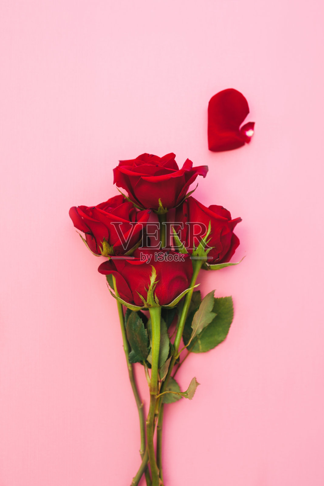 粉红玫瑰背景。粉红色背景上的红玫瑰。2月的背景。新鲜的玫瑰花束。照片摄影图片