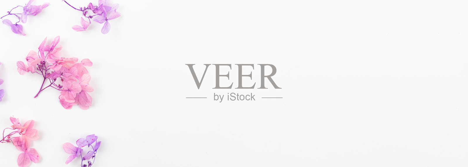 条幅构图以五彩干花、花边和平铺概念，复制空间照片摄影图片