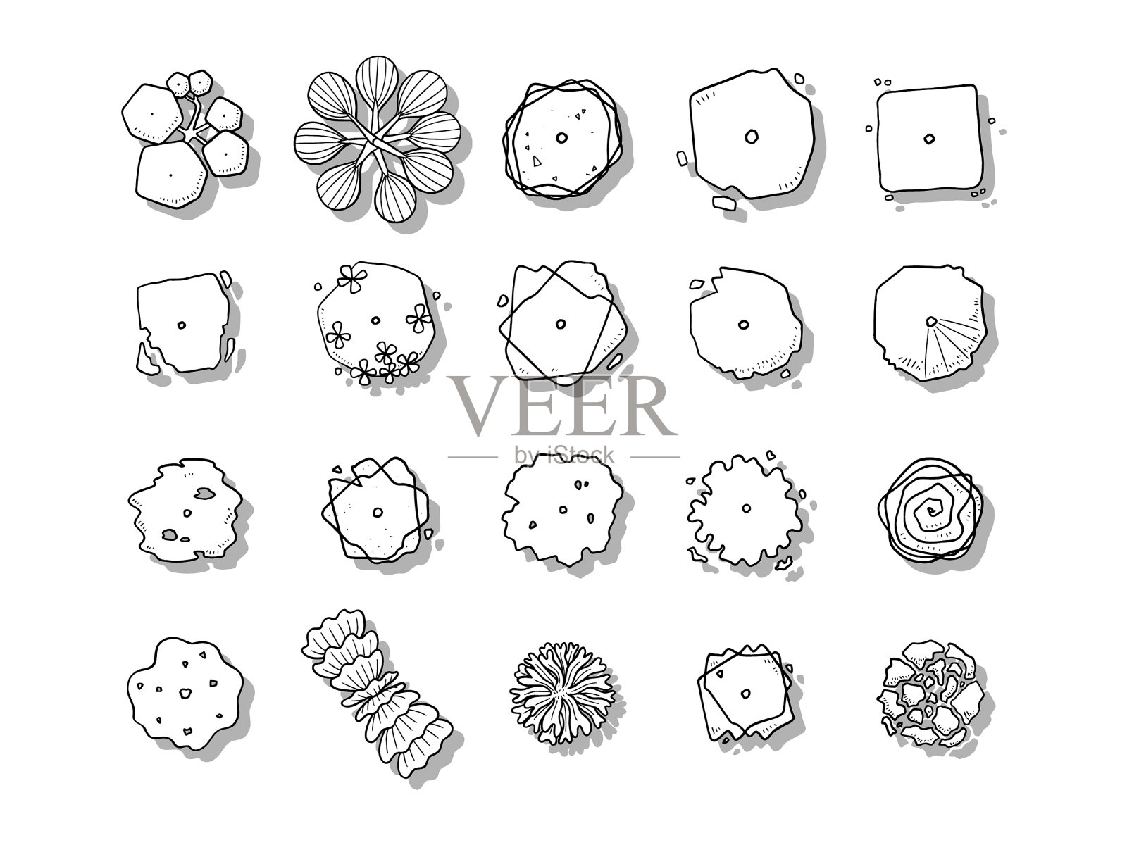 树- 029插画图片素材