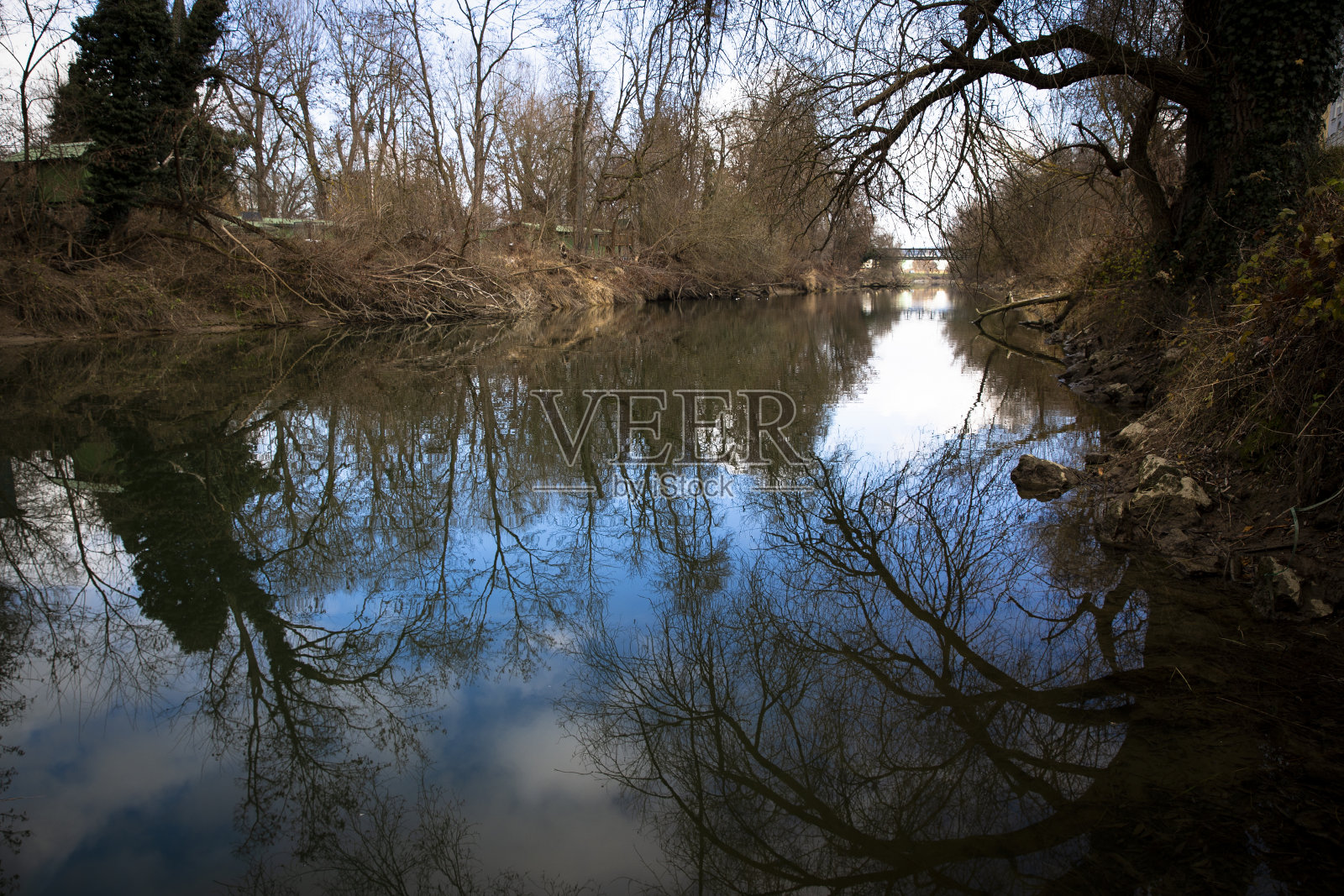 水中映照着树木和天空，还有蓝云。照片摄影图片