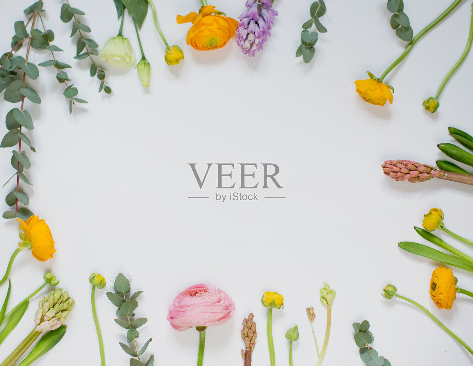 花框架上的白色背景照片摄影图片