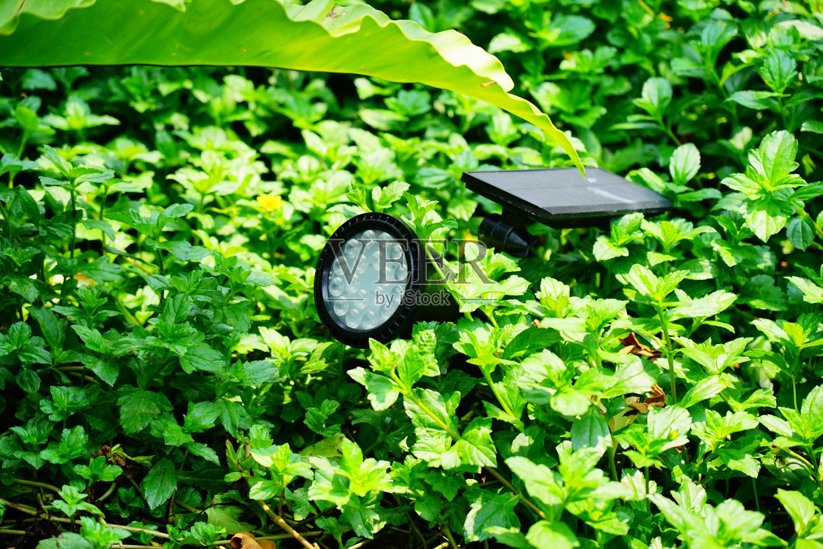 花园太阳能灯照片摄影图片