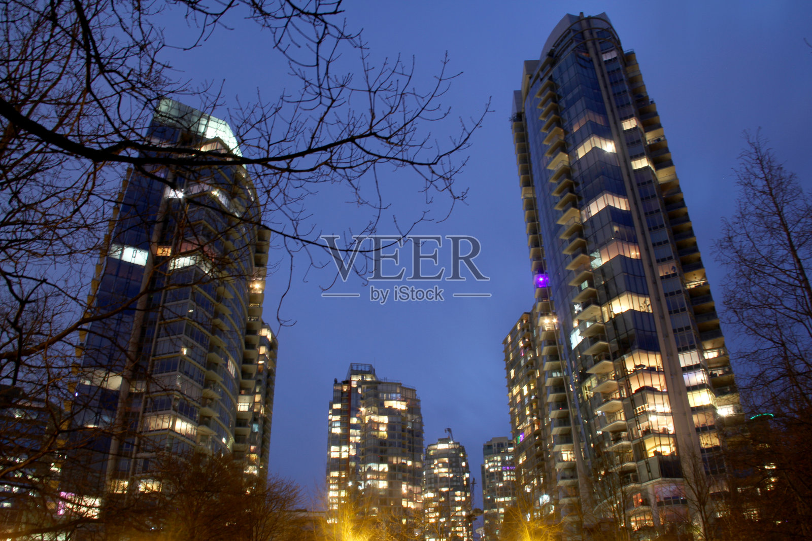 玻璃森林照片摄影图片