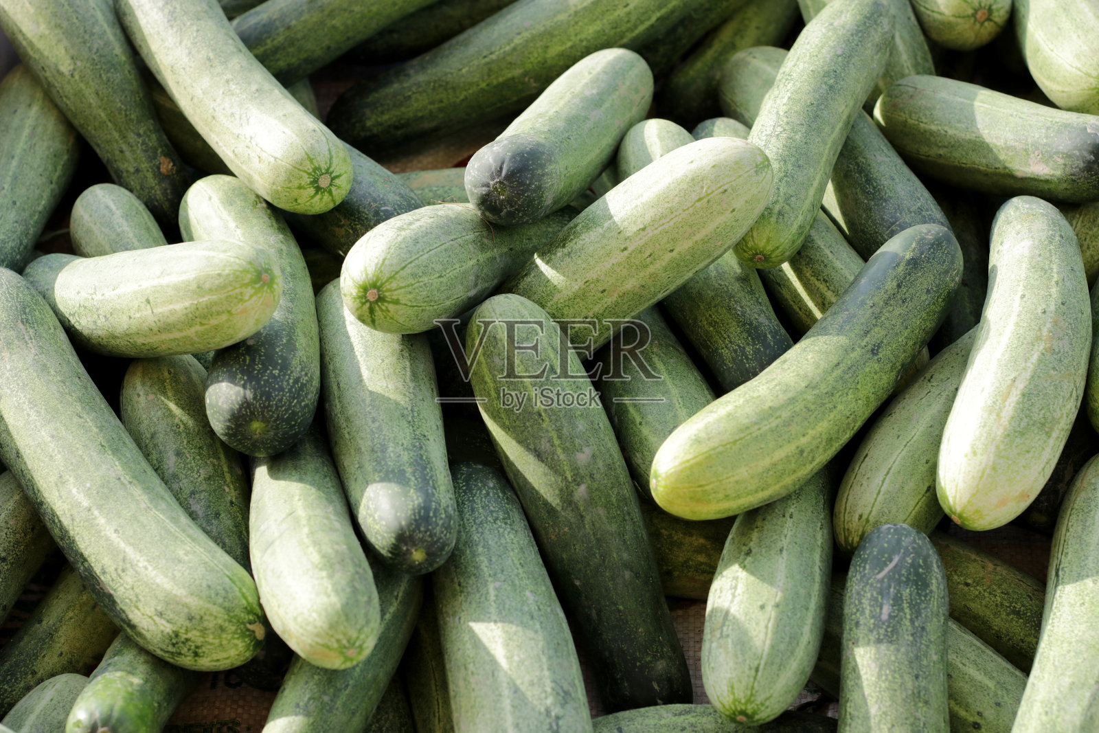 新鲜蔬菜照片摄影图片