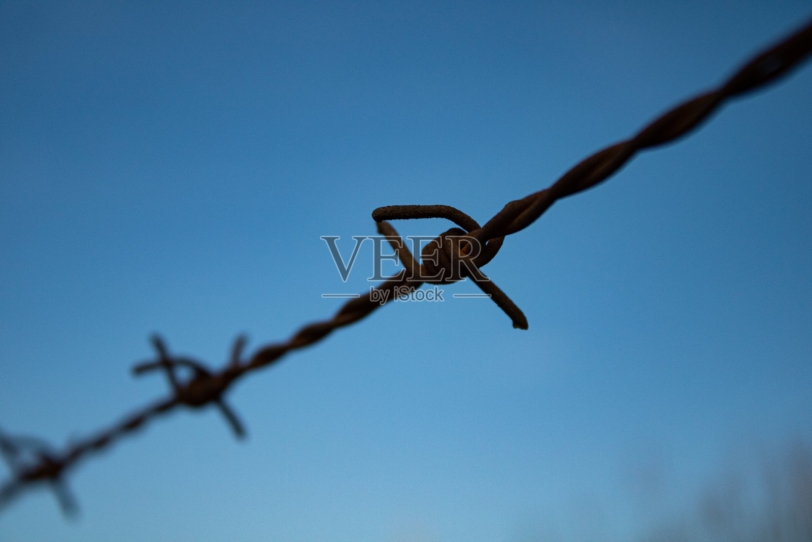 蓝天和铁丝网照片摄影图片