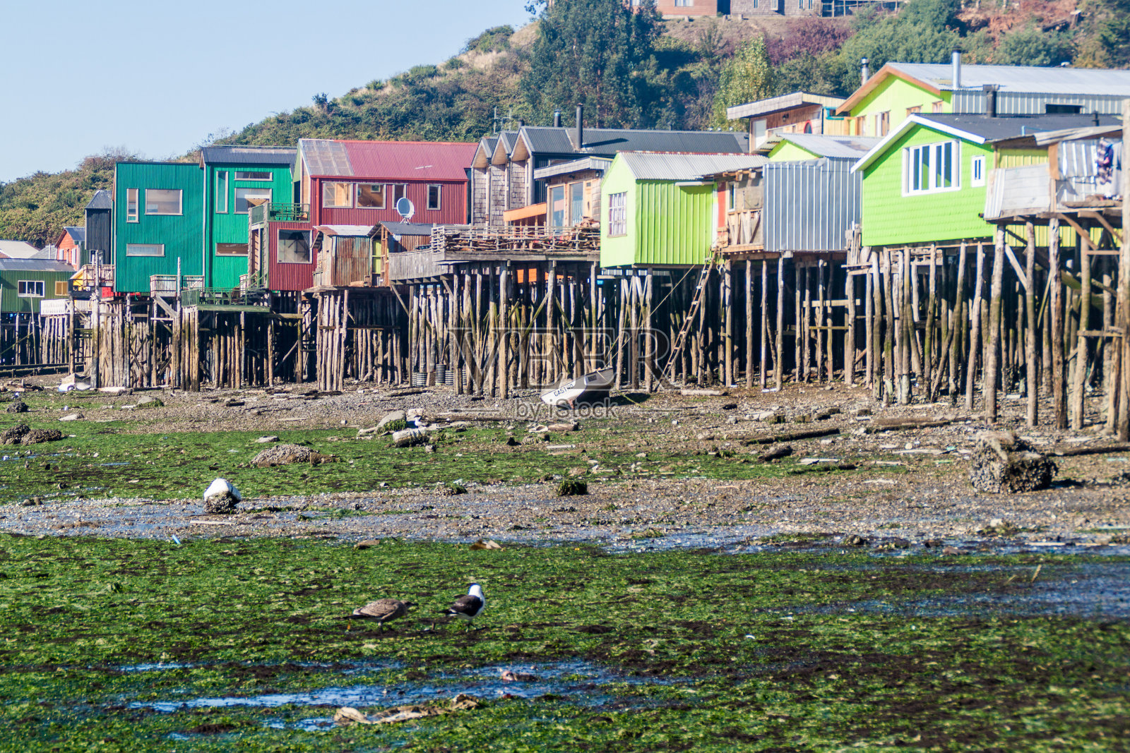 Palafitos(棚屋)，卡斯特罗，奇洛伊岛，智利照片摄影图片