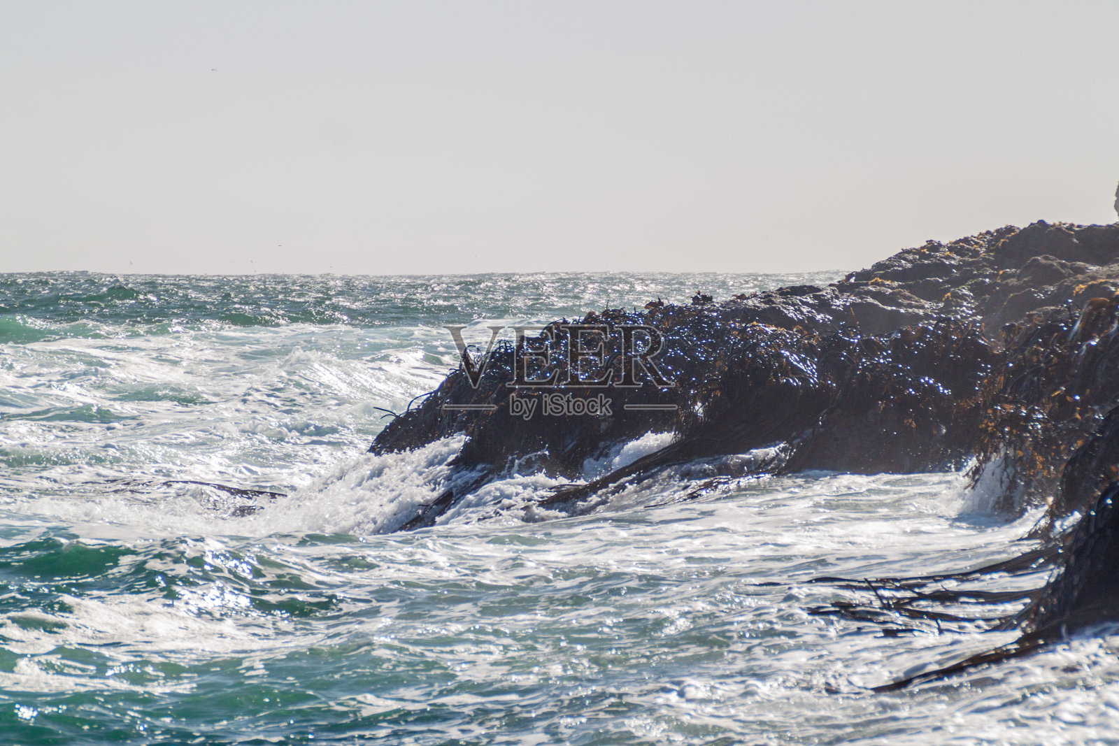 在智利奇洛岛的普尼韦尔国家群岛保护区，大浪溅起小岛照片摄影图片