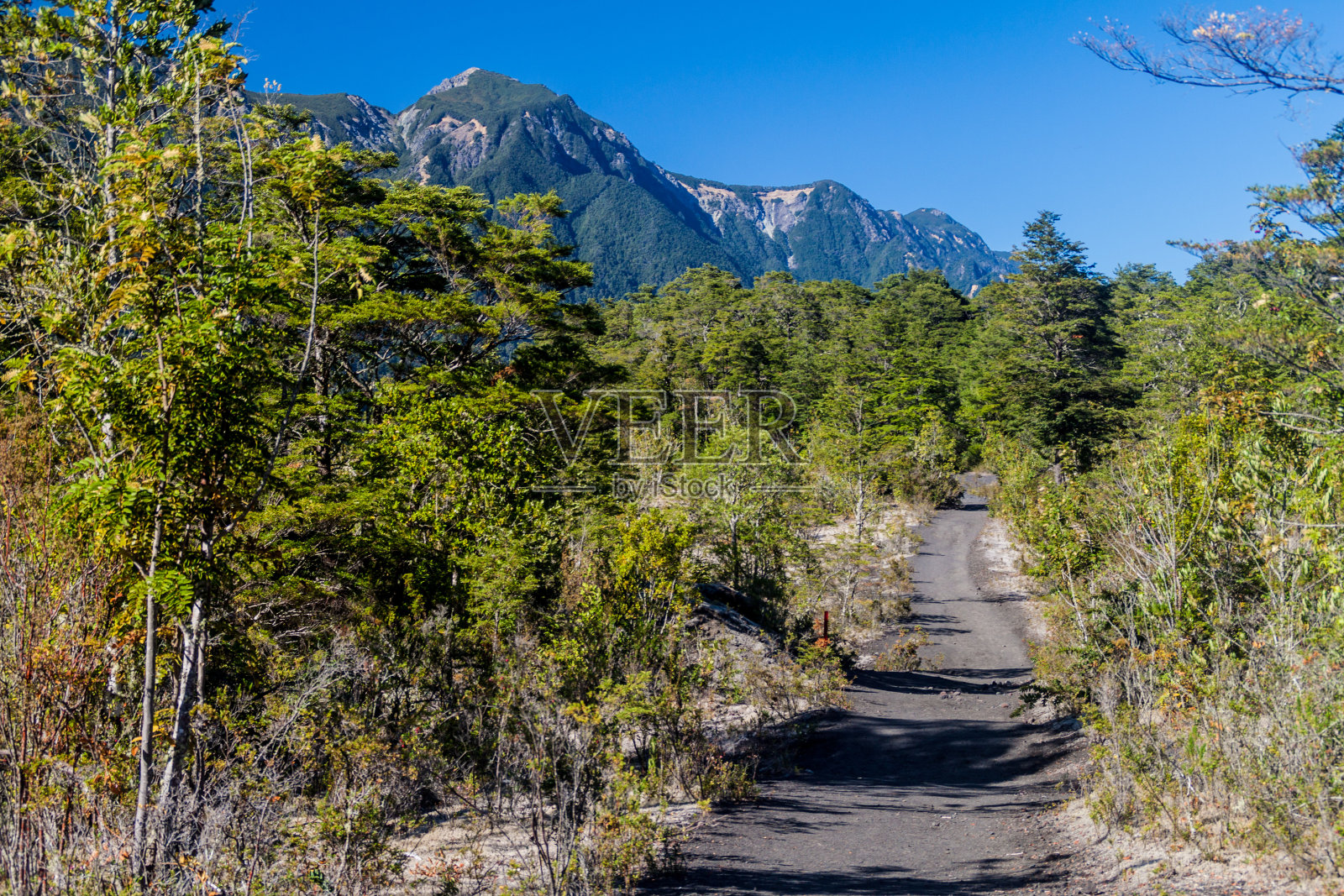 智利奥索尔诺火山附近的徒步小径照片摄影图片