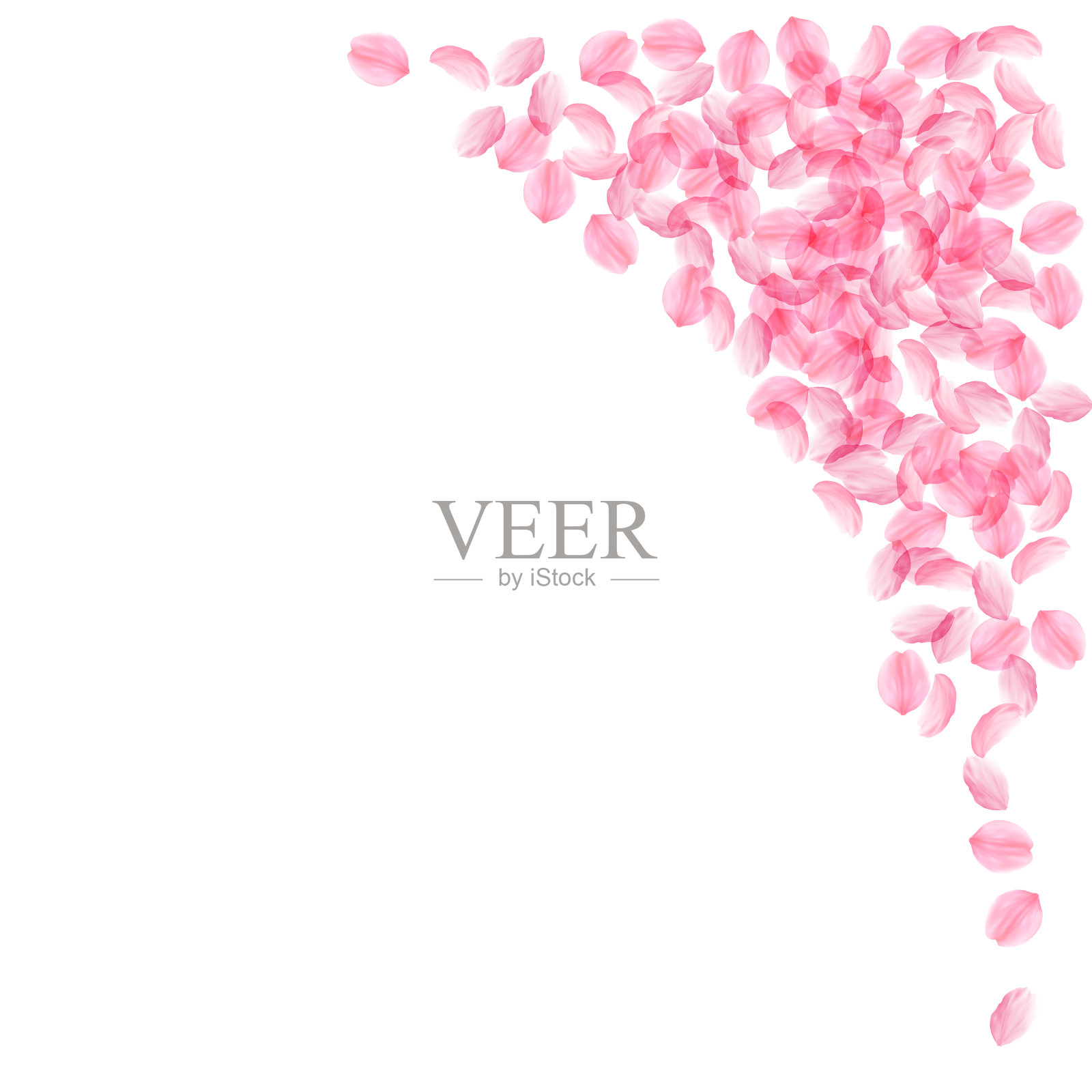 樱花花瓣飘落，浪漫的粉红丝般我插画图片素材