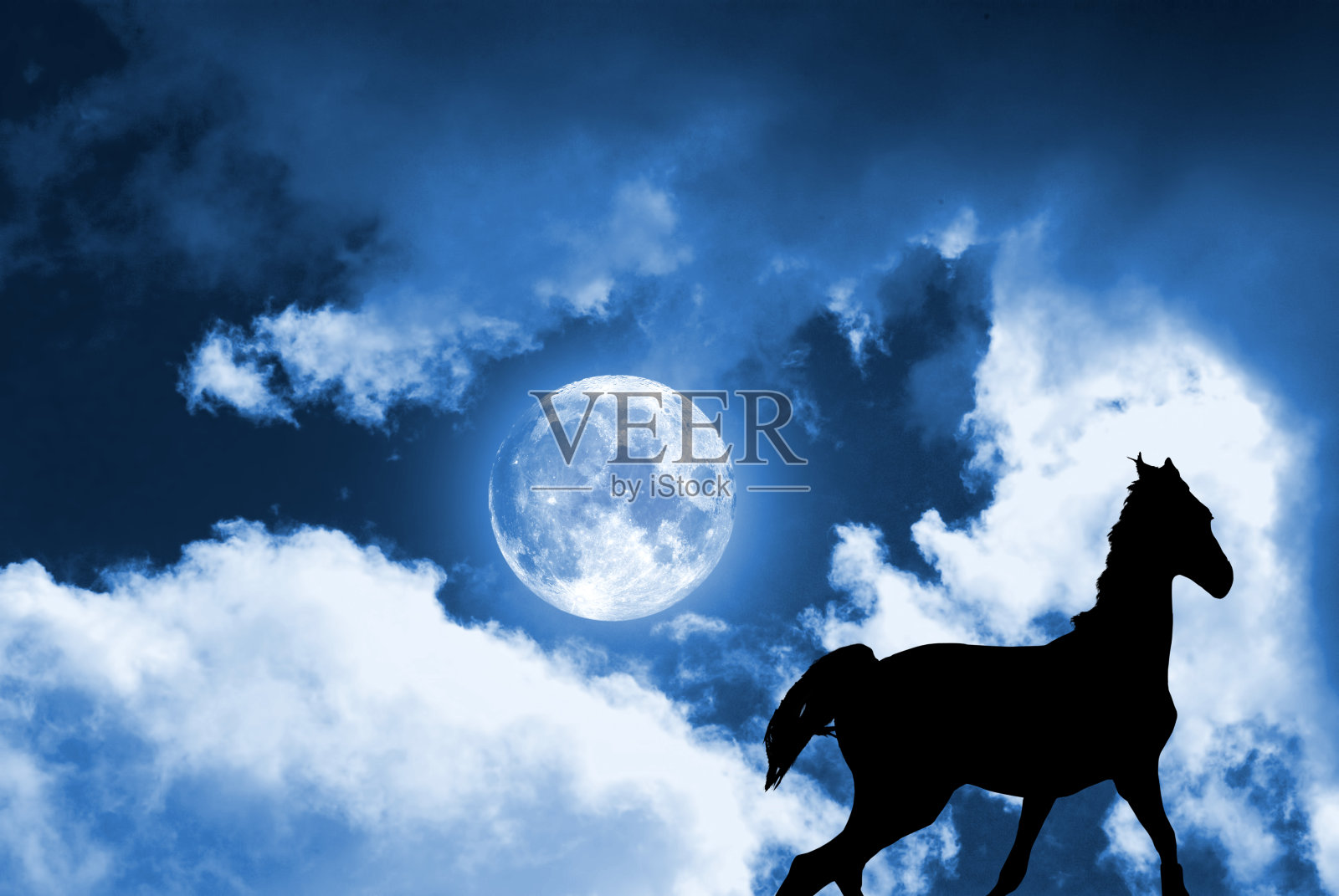 云中满月背景下的一匹马的剪影照片摄影图片