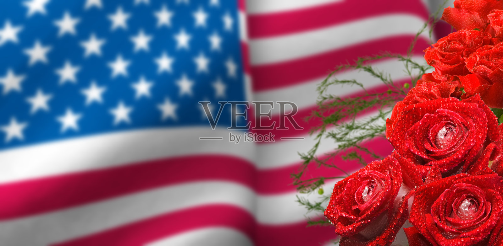 美丽的花朵和美国国旗接近了照片摄影图片