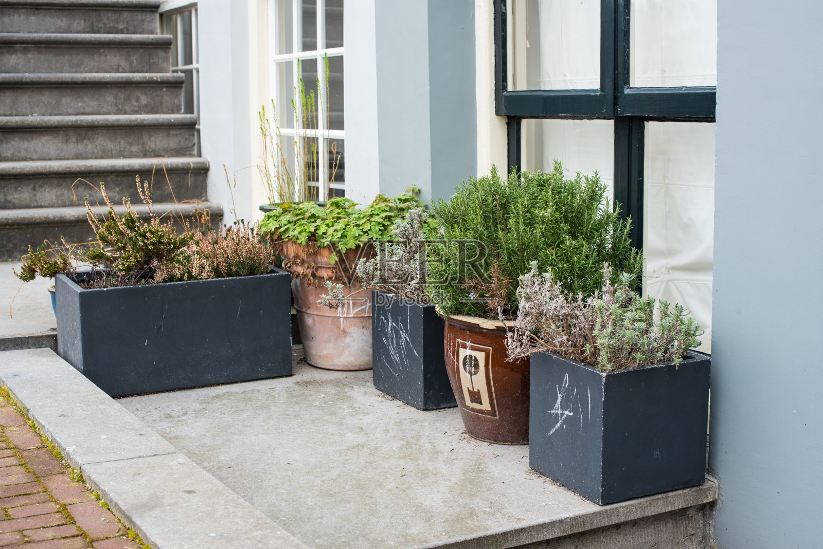 阿姆斯特丹的老房子里有花盆照片摄影图片