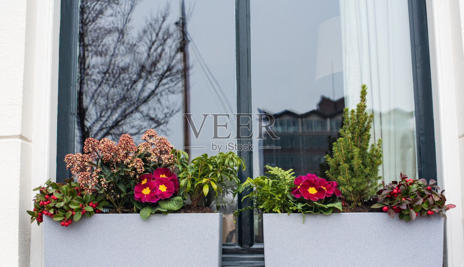 阿姆斯特丹的老房子里有花盆照片摄影图片