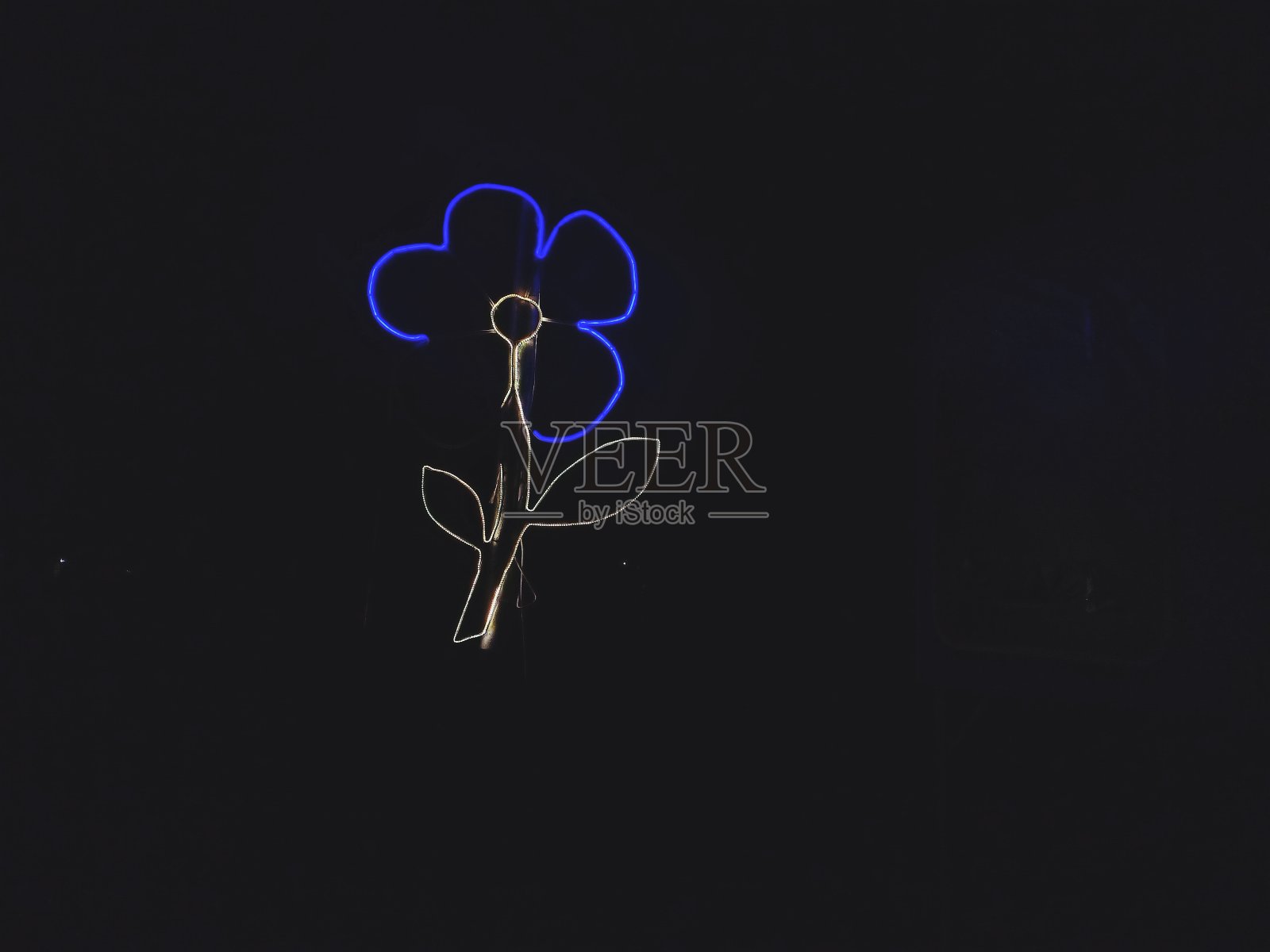 花型装饰灯照片摄影图片