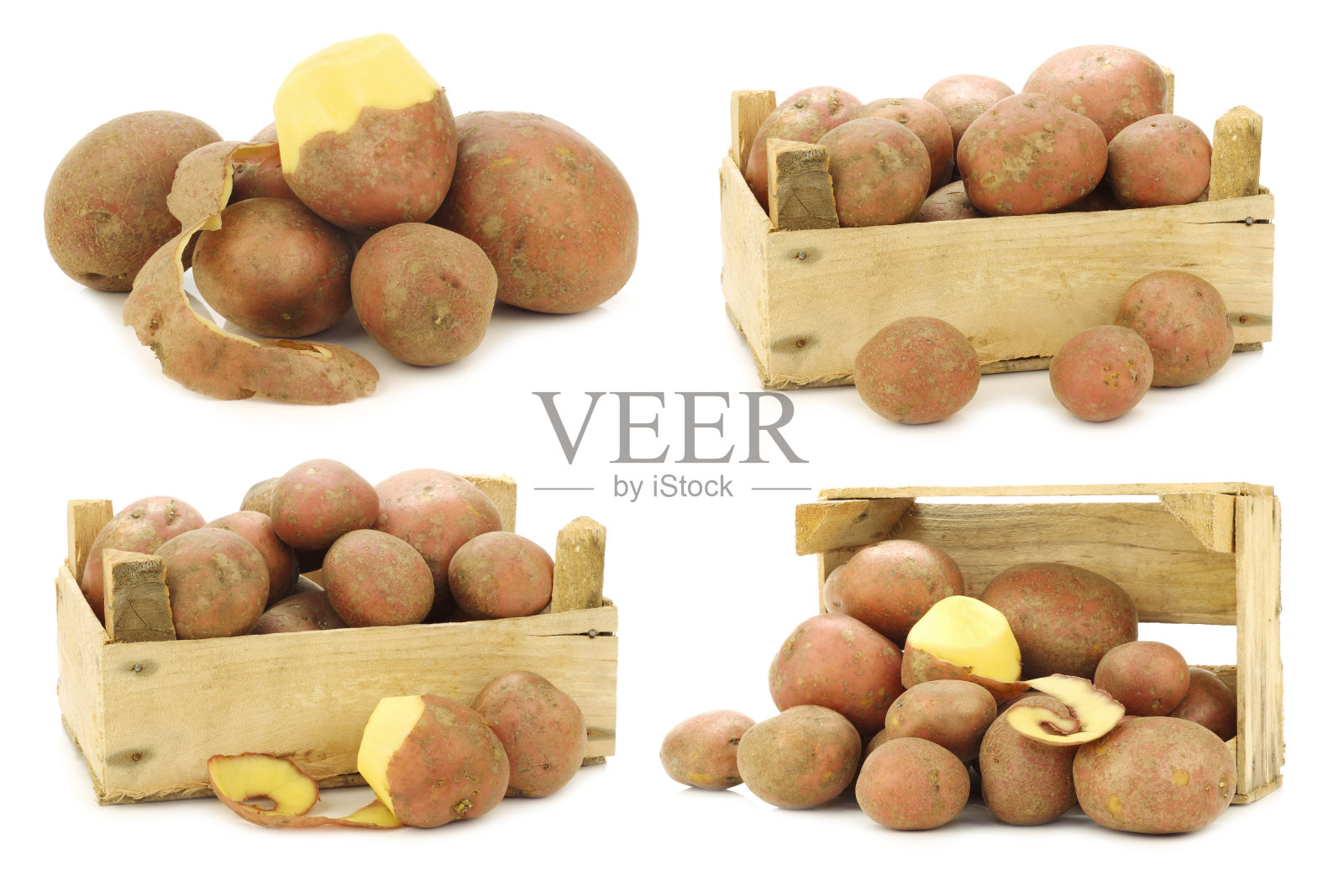 新鲜收获的荷兰土豆“Bildtstar”照片摄影图片