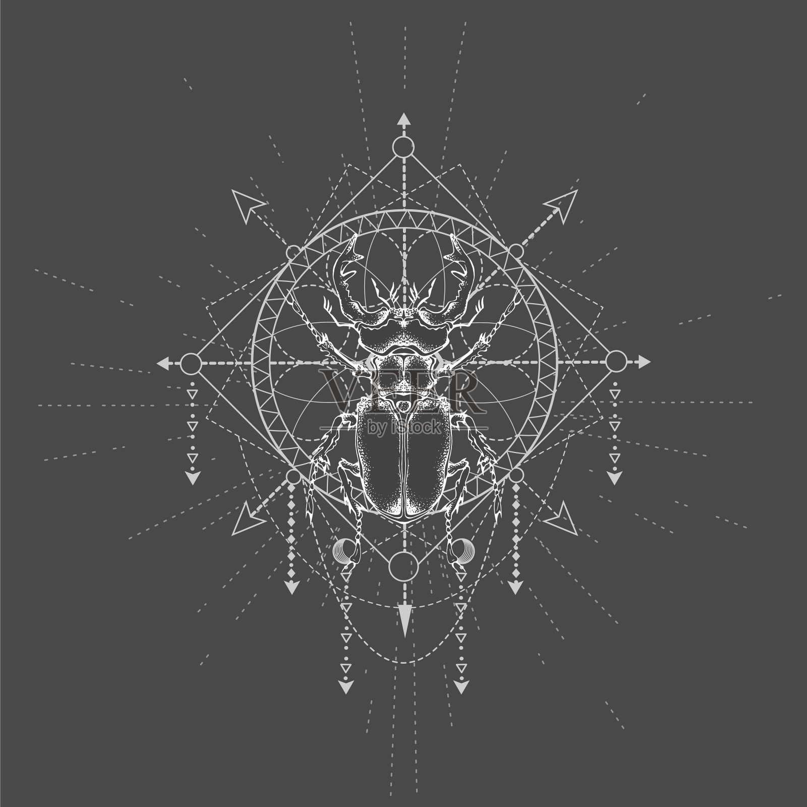 手绘雄鹿甲虫和神圣几何图案插画图片素材