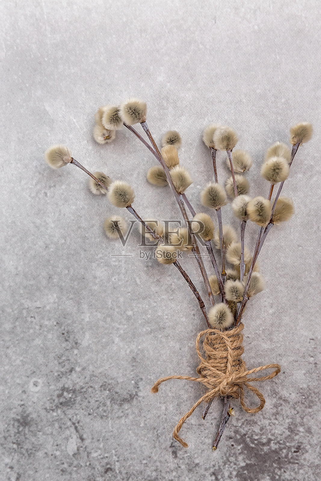 灰色背景上的一束柳树。复活节极简贺卡。复活节假期的概念。照片摄影图片