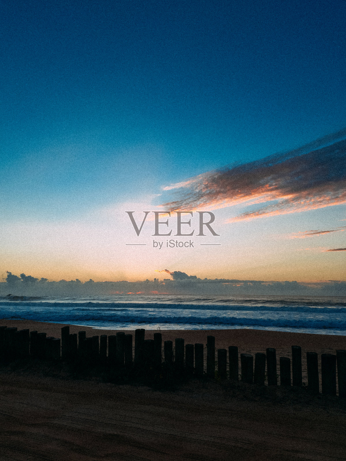 圣卡塔琳娜州加罗巴巴 - 2021照片摄影图片