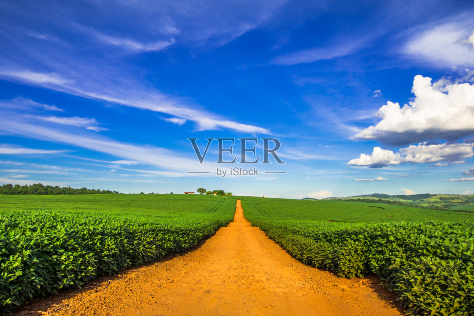 国家的道路。美丽的乡村风景照片摄影图片