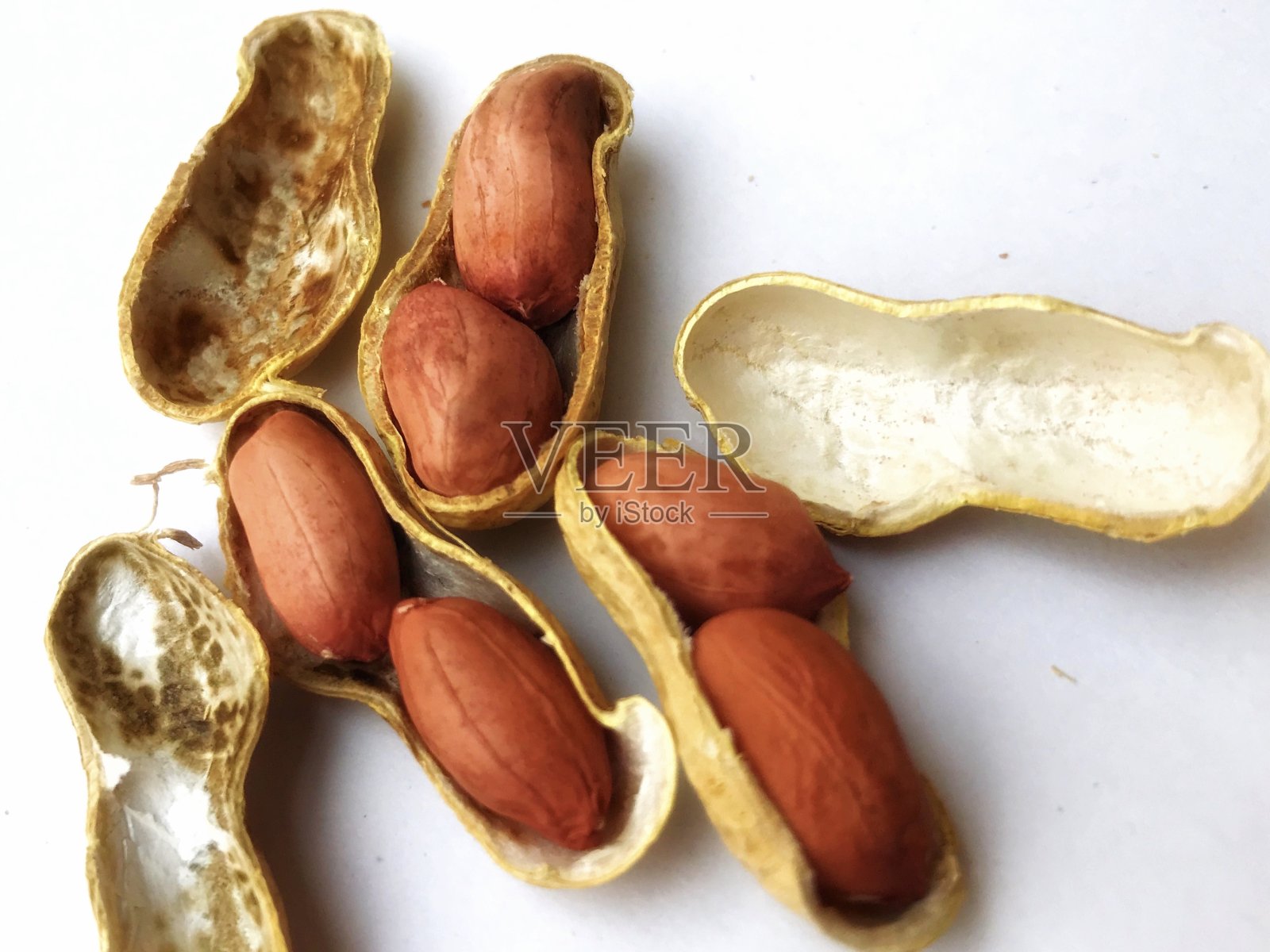 花生照片摄影图片