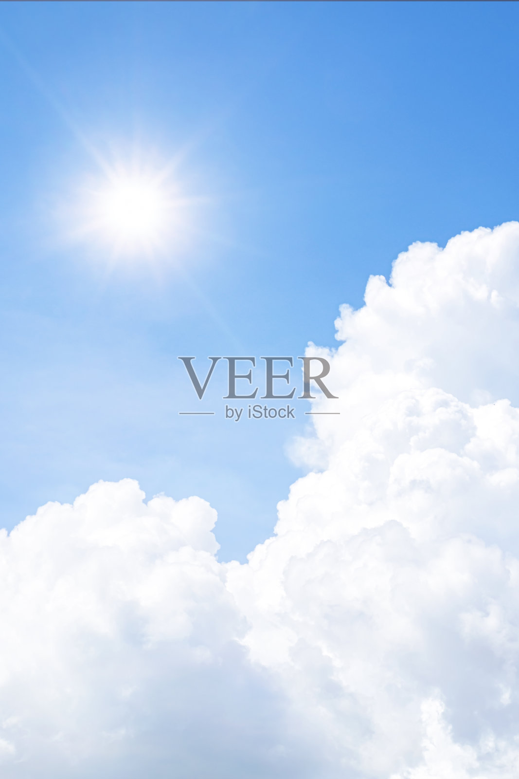 清晨夏日自然背景概念为生动的自然雾旗形象照片摄影图片