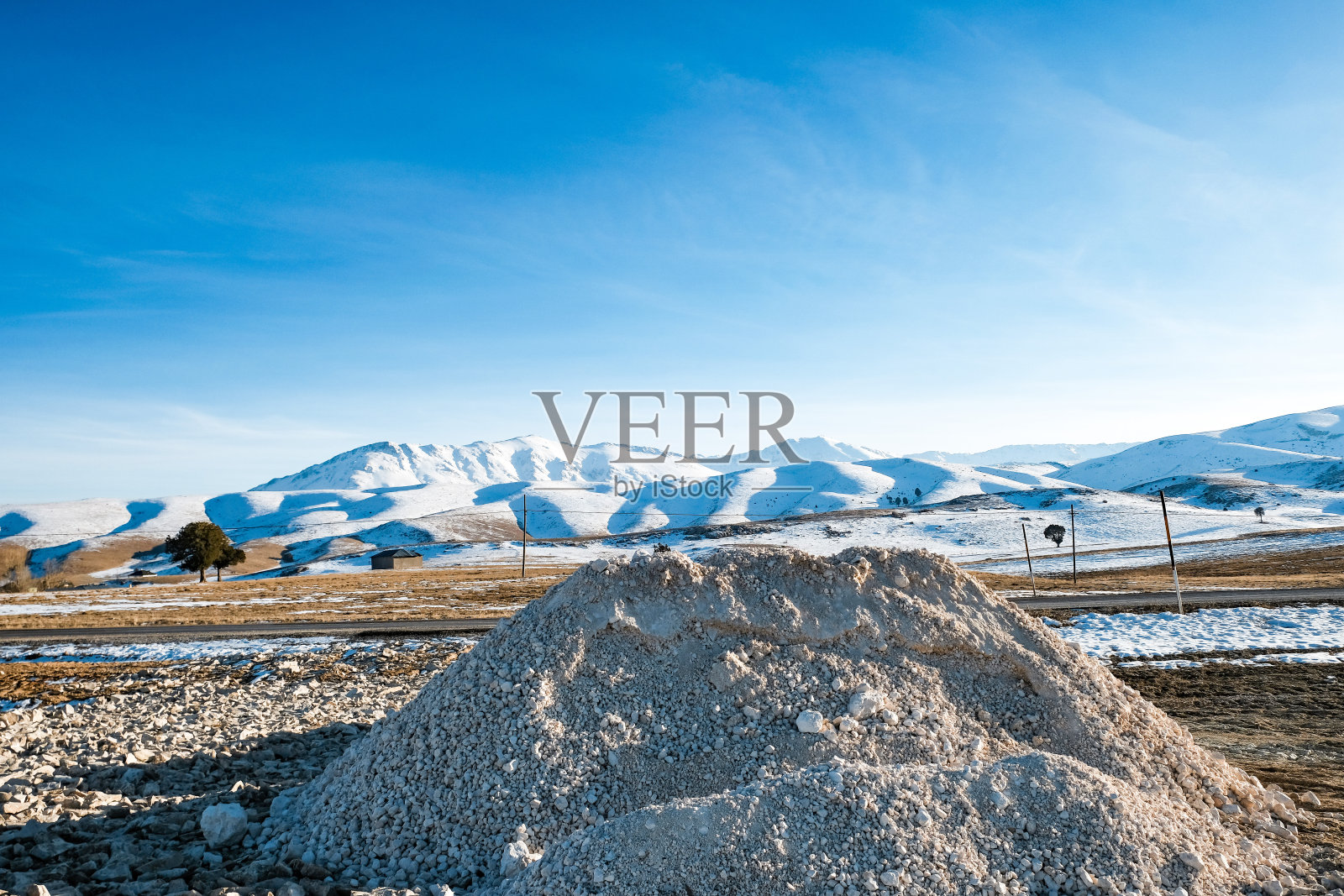 火鸡照片摄影图片