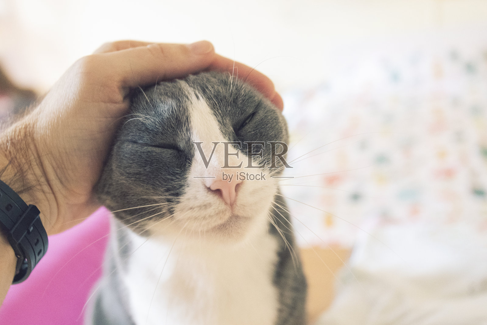 一个男人在家里抱着他的猫照片摄影图片