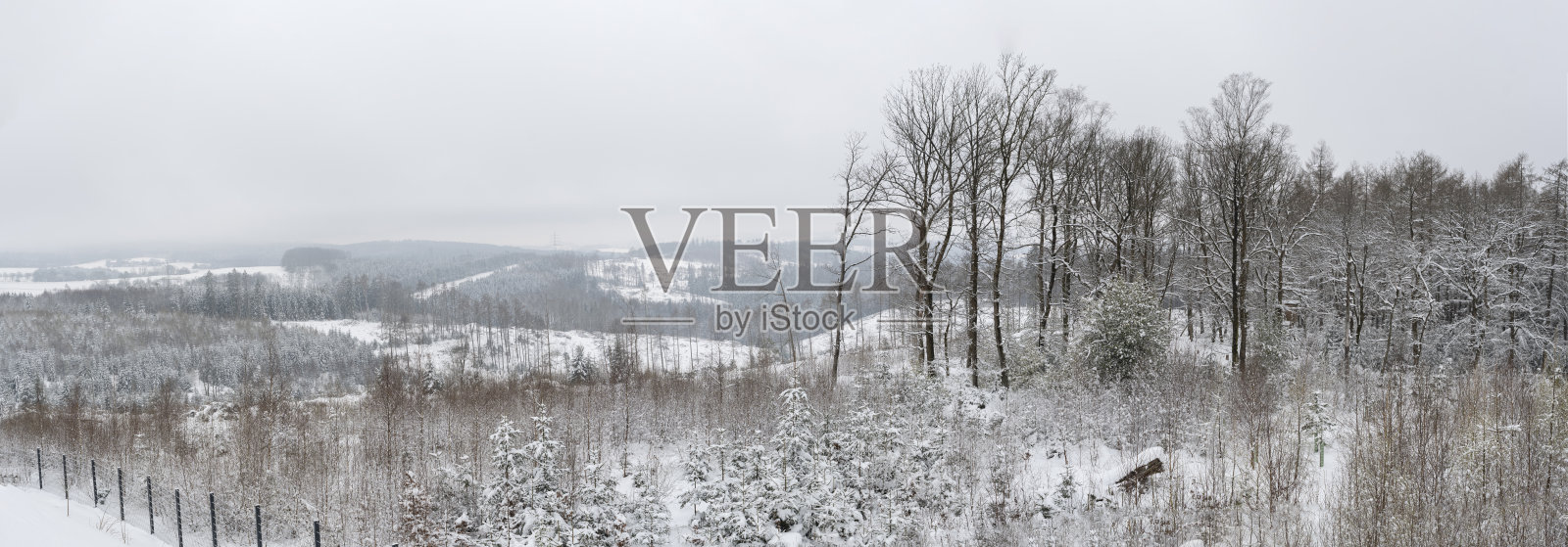 德国的山谷和高原在冬天被雪覆盖的全景照片摄影图片