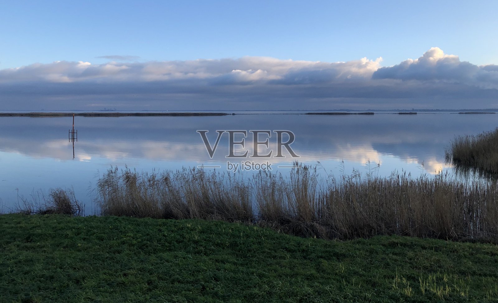 芦苇靠近河边，蓝天上有云照片摄影图片