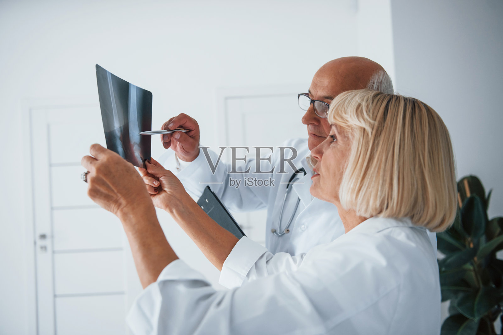 身着白色制服的资深男女医生正在检查人体腿部的x光片照片摄影图片