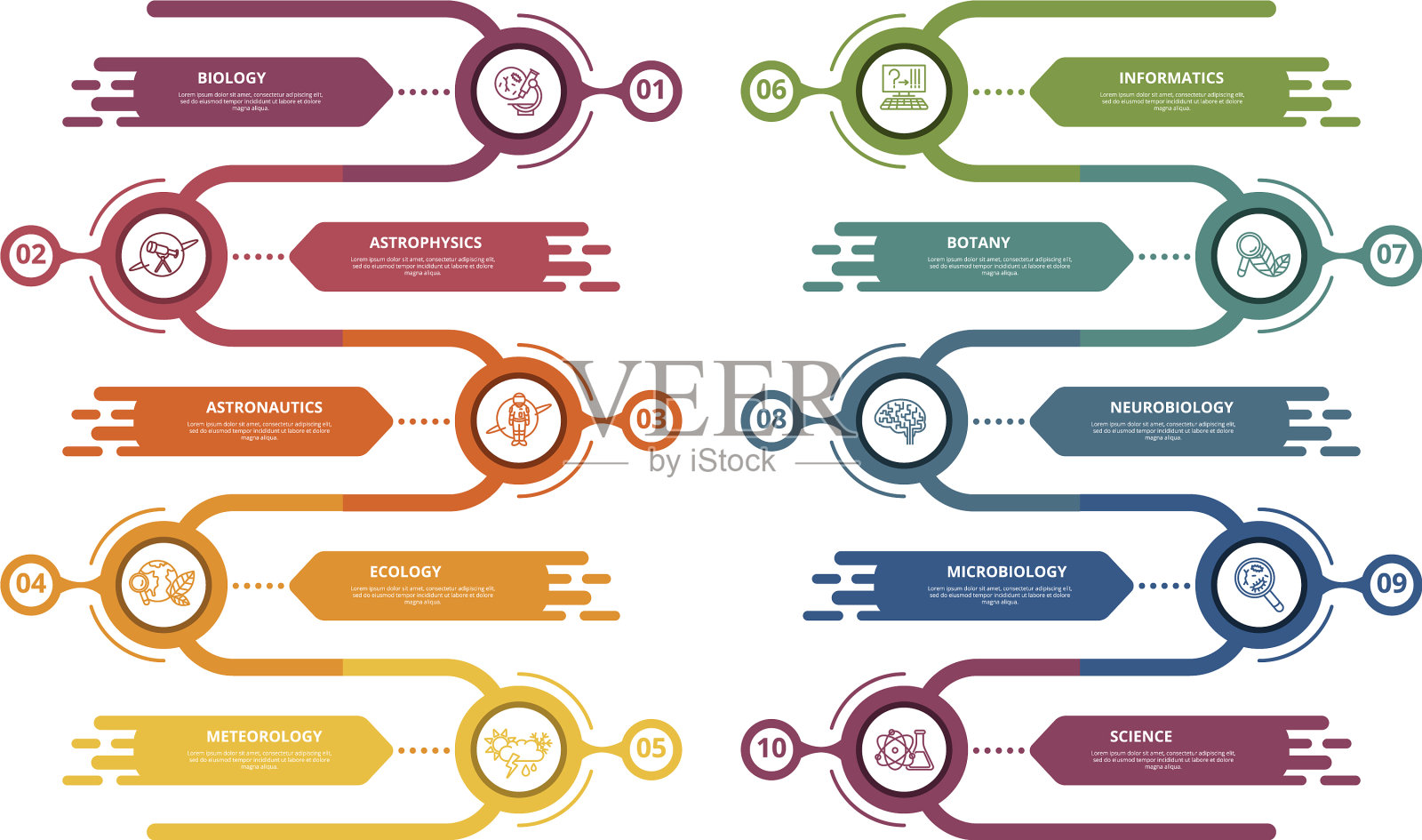 信息图表科学模板图标在不同插画图片素材