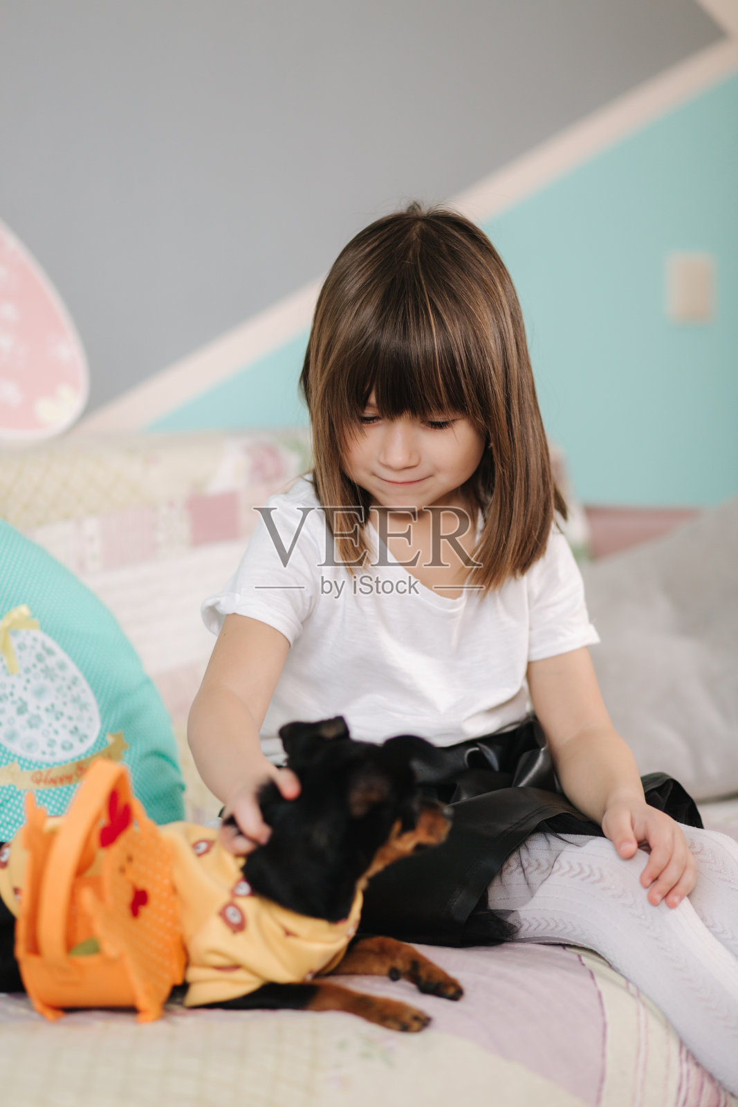 可爱的小女孩在家里的沙发上拥抱她的宠物。孩子在隔离期间在家准备复活节。可爱的狗照片摄影图片