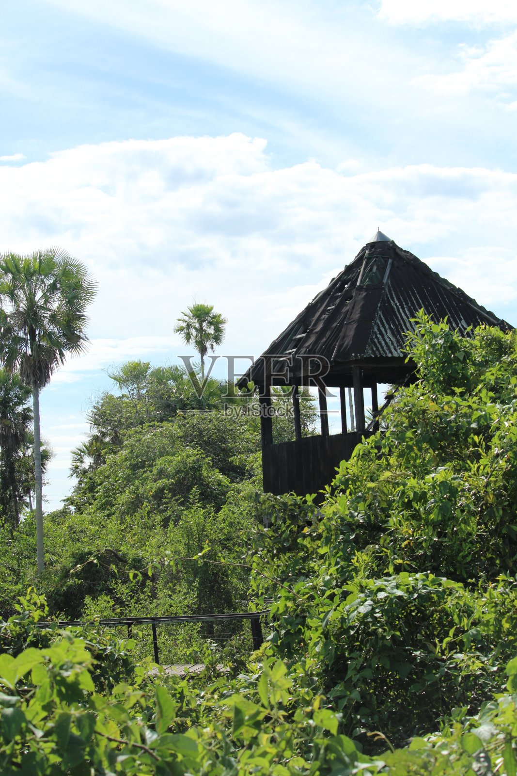 在潘塔纳尔的风景中有高高的木屋照片摄影图片