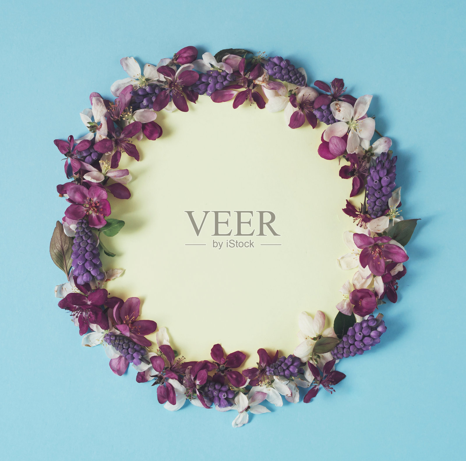 花朵花环与黄色圆形复制空间，极简主义平铺春天的概念在柔和的蓝色背景照片摄影图片