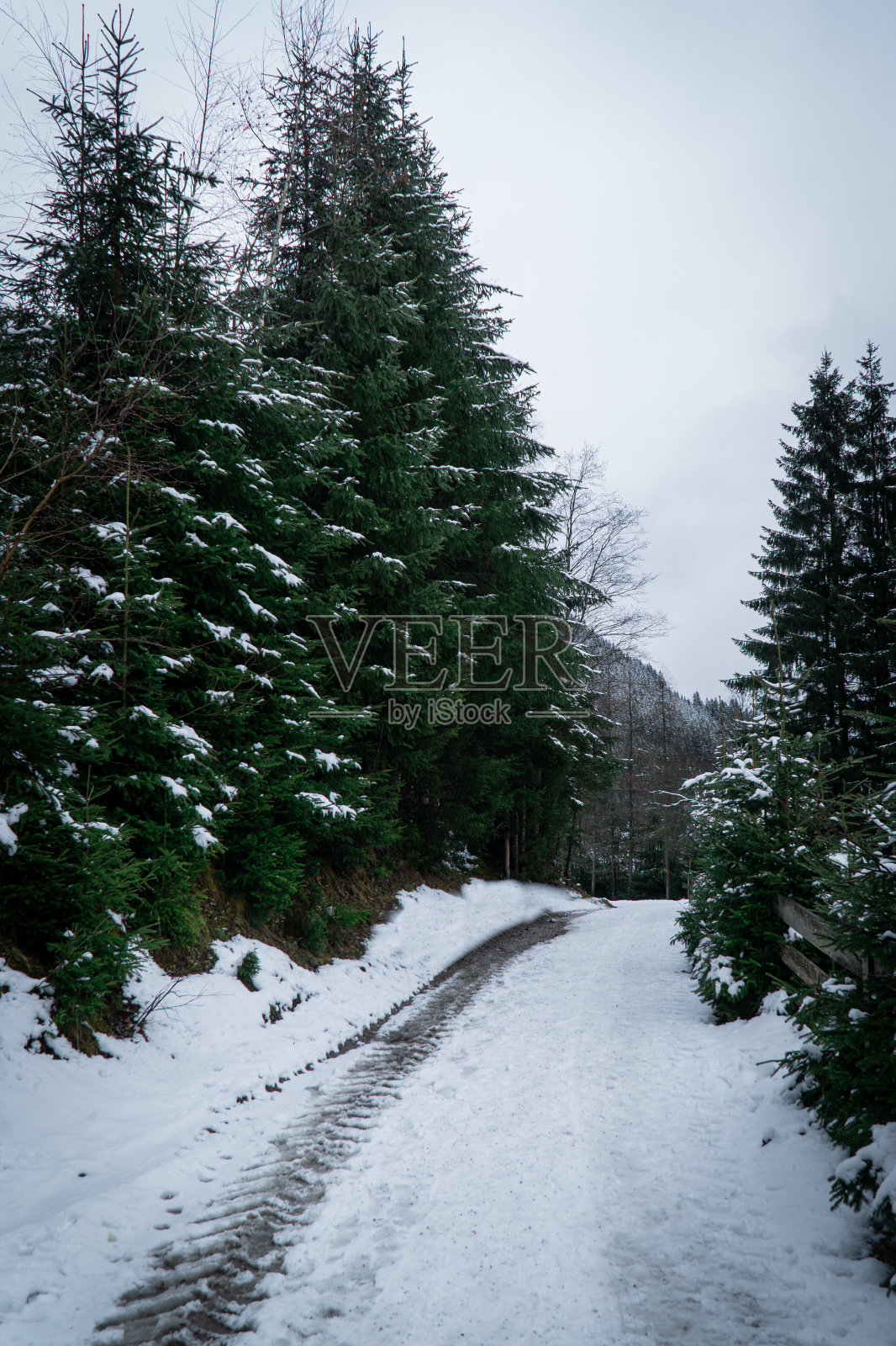 冬季在高山。奥地利因斯布鲁克照片摄影图片
