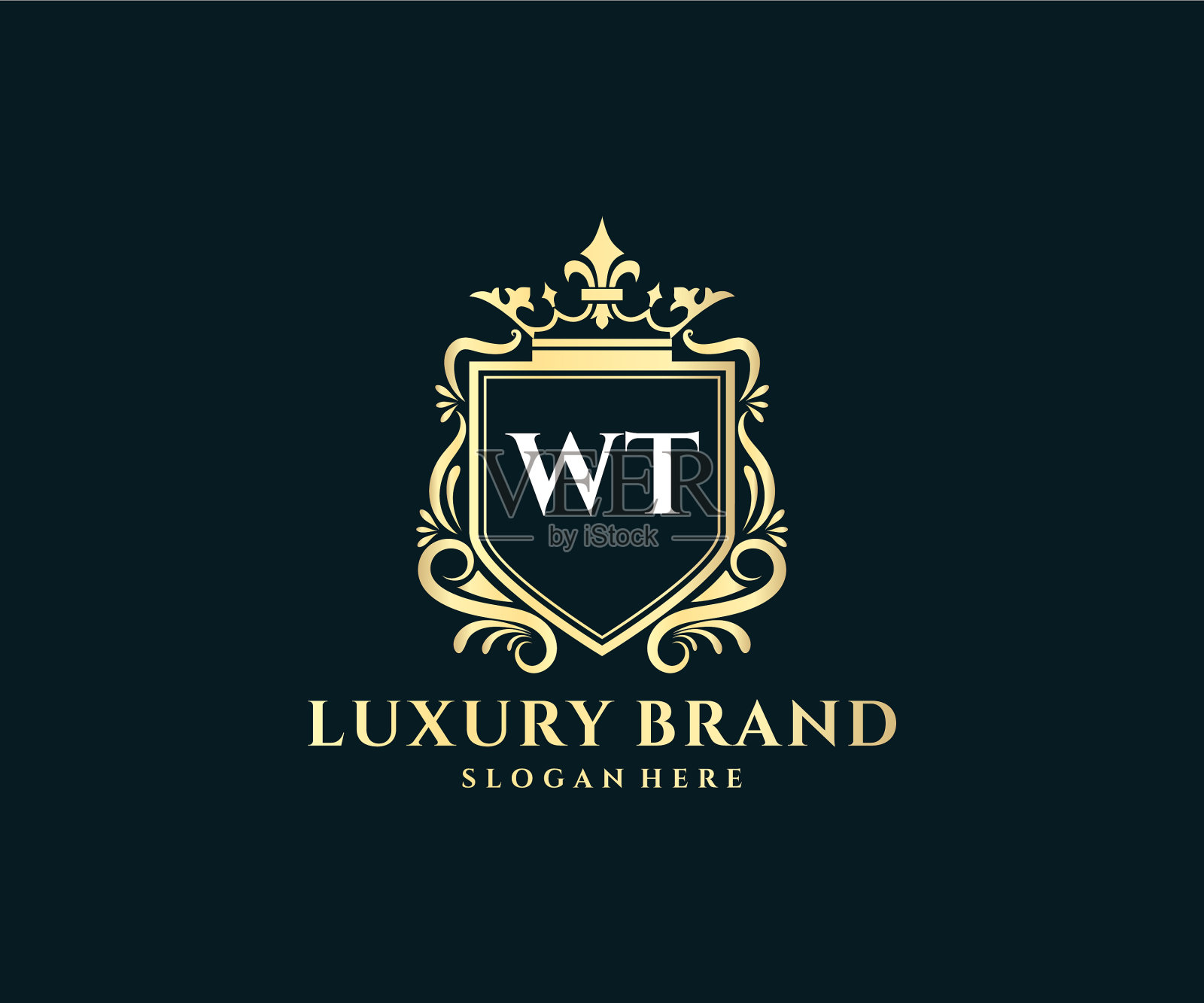 Wt首字母黄金书法女性插画图片素材