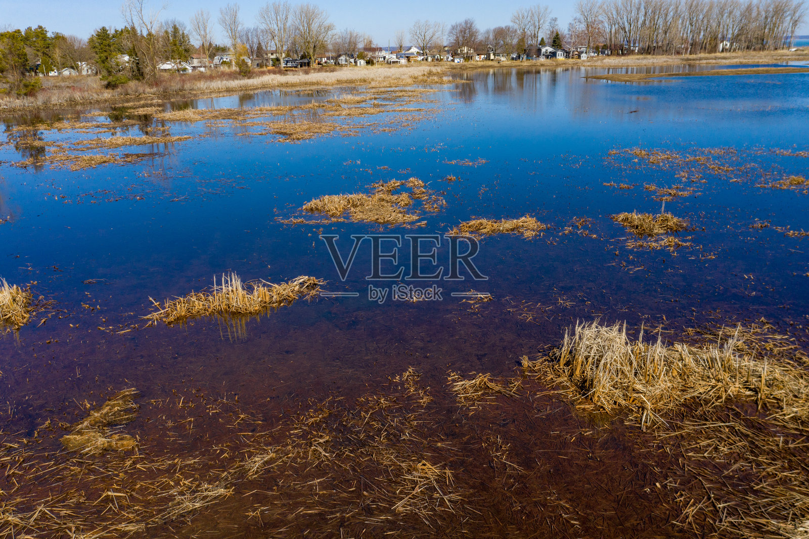长角省公园，安大略省，加拿大照片摄影图片
