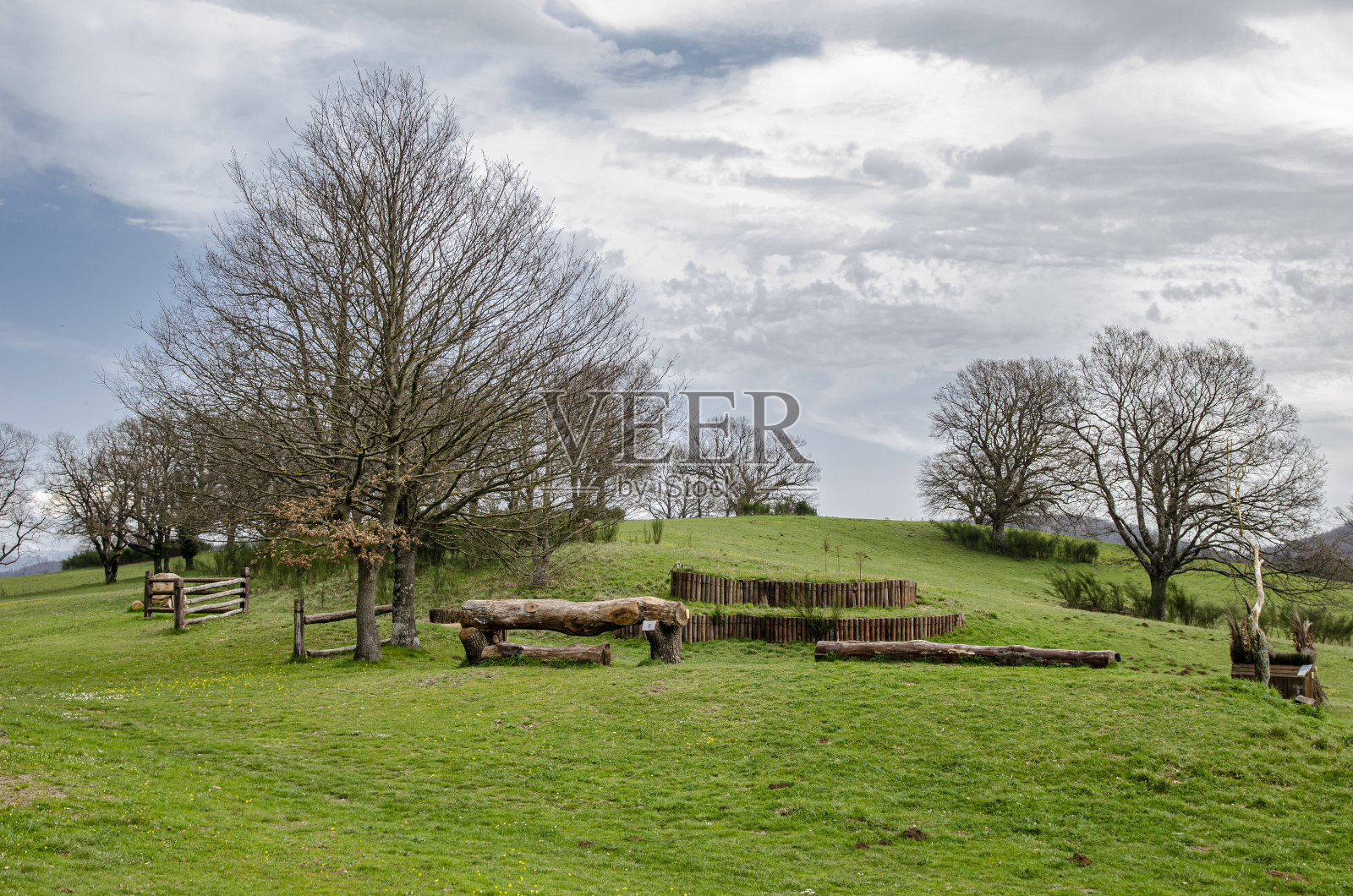 在神奇的塞昆森林里散步照片摄影图片
